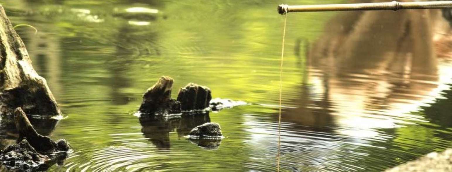まるがやつの里山で<br />
ザリガニ釣りを体験！