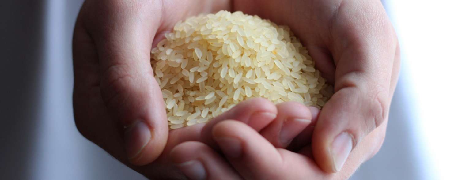 お米一粒ぐらい、<br />
なんてもう言わせない！