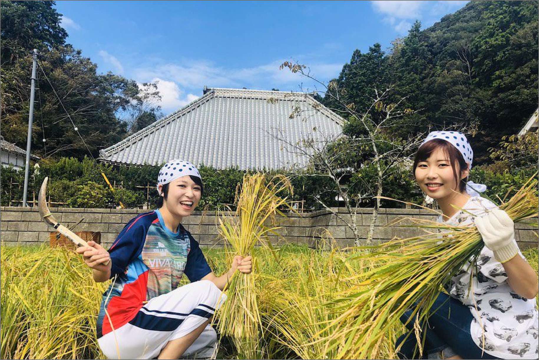 田植え・稲刈り体験